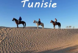 rando à cheval en Tunisie