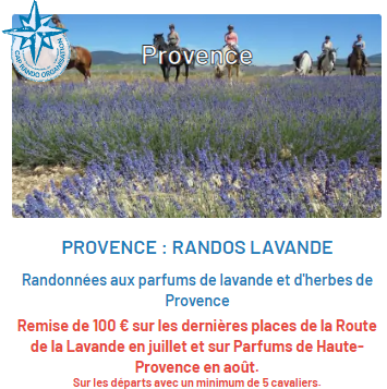 Randonnées lavande