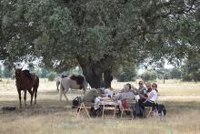randonnee a cheval en espagne