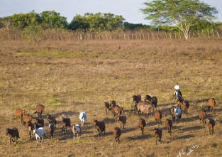 rando à cheval au Brésil