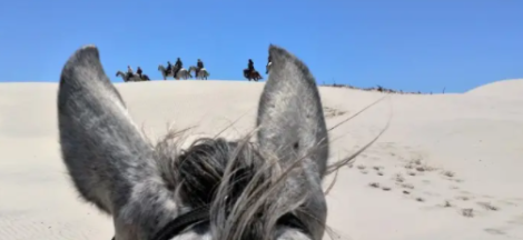 randonnée cheval Bresil