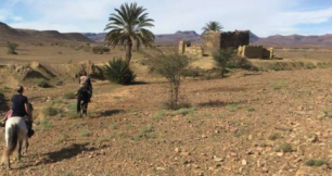 semaine cheval Maroc