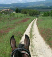 rando à cheval Toscane