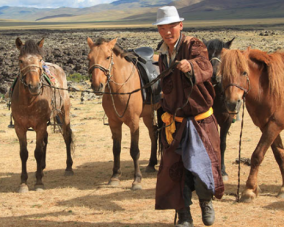 rando cheval Mongolie