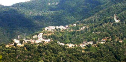 image-20220725211458-3
