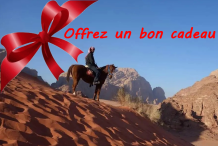 image-20221113143120-1