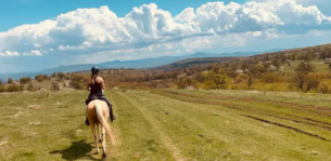 semaine équitation en Roumanie