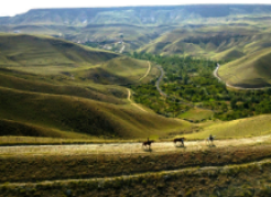cheval en Cappadoce