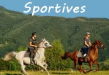 rando cheval sportive