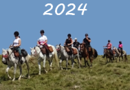 image-20230531145855-1
