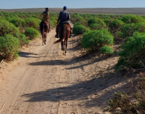 semaine à cheval Maroc
