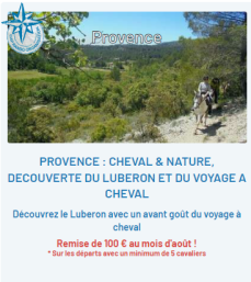 image-20230728104221-2