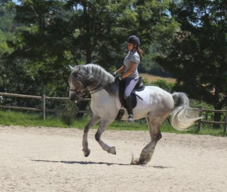stage equitation Portugal