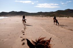 Rando à cheval Andalousie