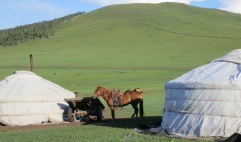 Randonnée cheval Mongolie