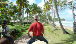 A cheval dans les Caraibes