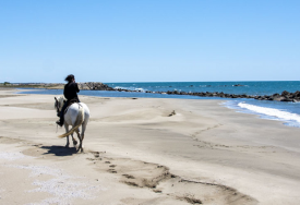 Randonnée cheval en Camargue