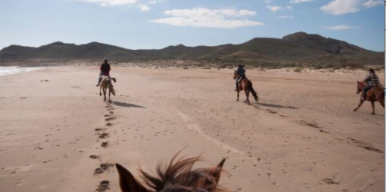 Sud de l'Espagne à cheval