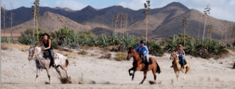 Vacances en Espagne à cheval