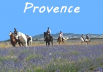 sud de la France à cheval