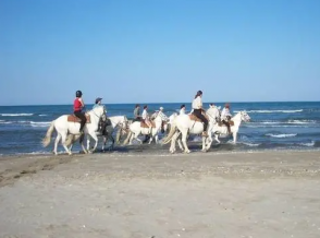 paques à cheval en Camargue