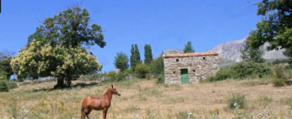 randonnée à cheval en Corse