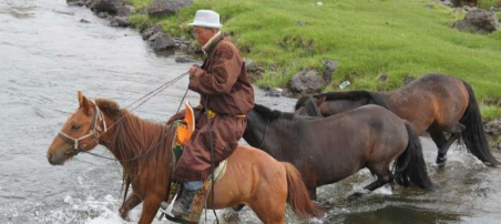 rando équestre en Mongolie