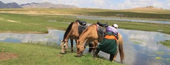 randonnée cheval Mongolie