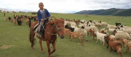 voyage a cheval en Mongolie