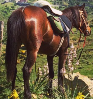 randonnee a cheval en Sicile Italie