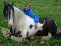 rando Irlande à cheval