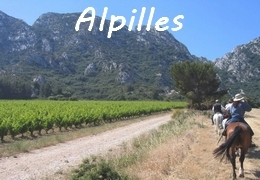 A cheval dans les Alpilles en Provence