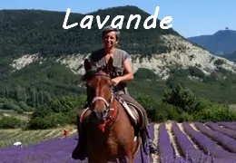 rando a cheval lavande