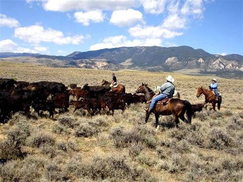 Voyage à cheval - Usa : Randonnées à cheval et travail dans un ranch du Montana