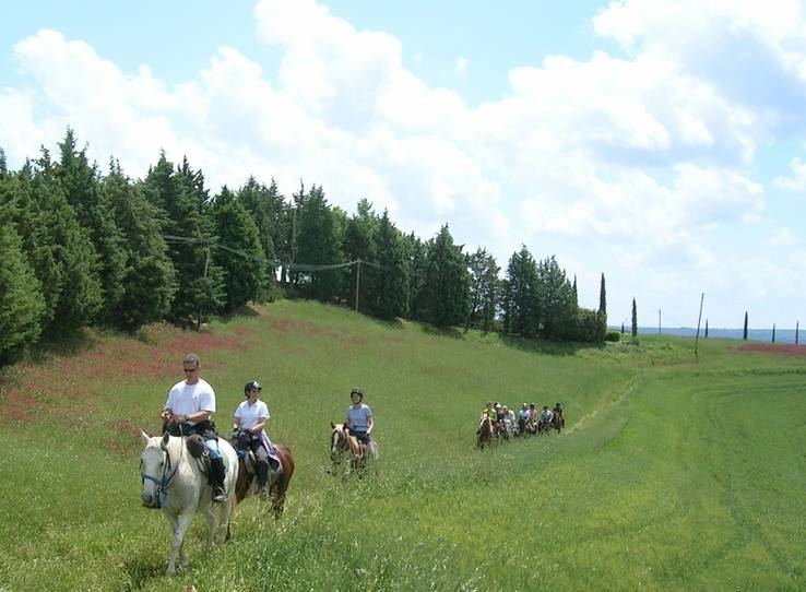 Voyage à cheval - Les crêtes siennoises de Toscane à cheval