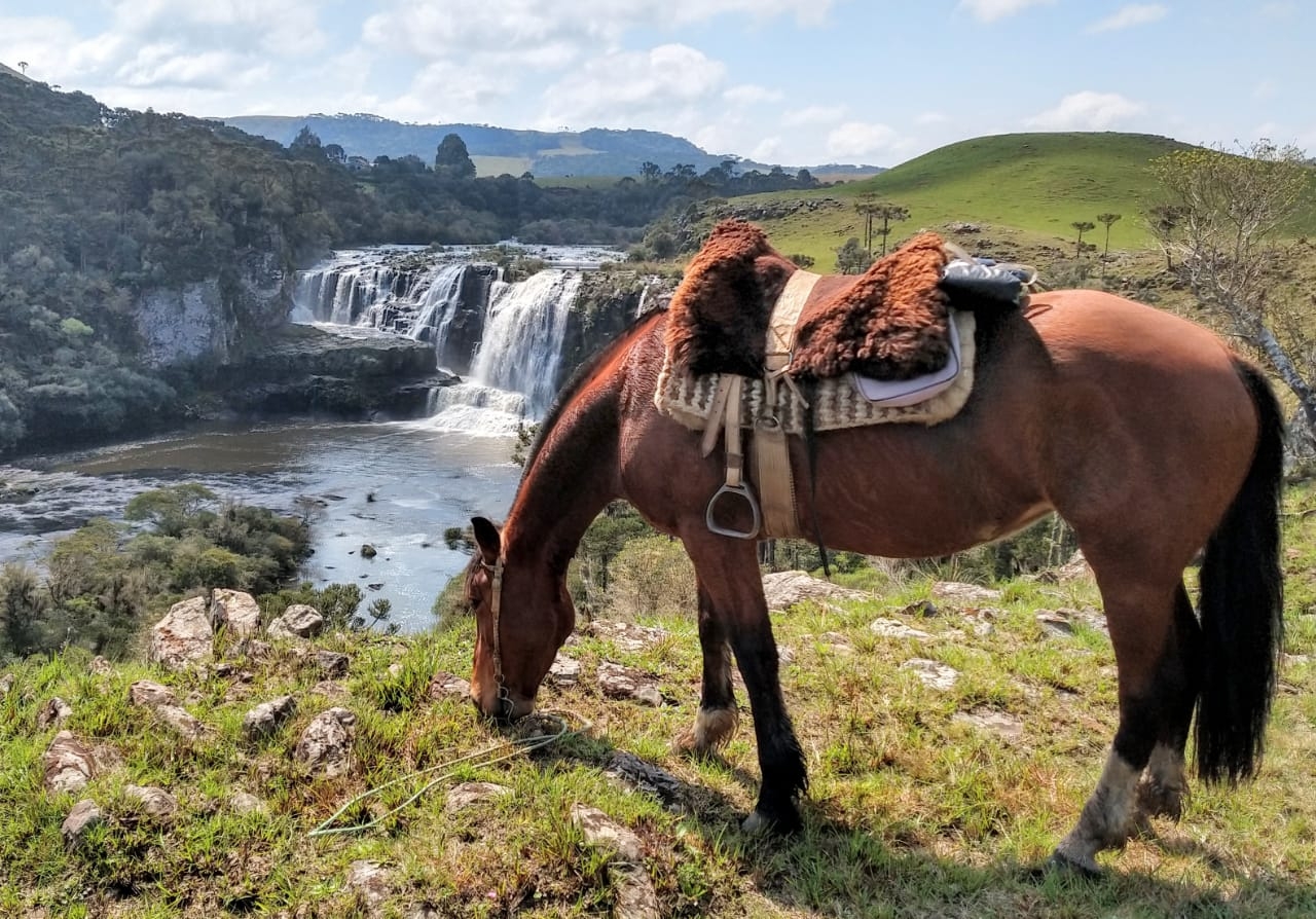 Voyage à cheval - Brésil : Canyons et cascades au pays des gauchos à cheval
