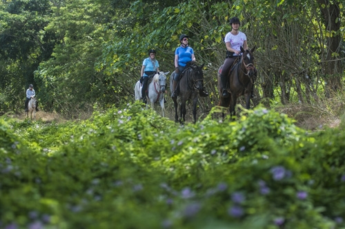 Voyage à cheval - Costa Rica : Forêt tropicale à cheval & multi activités