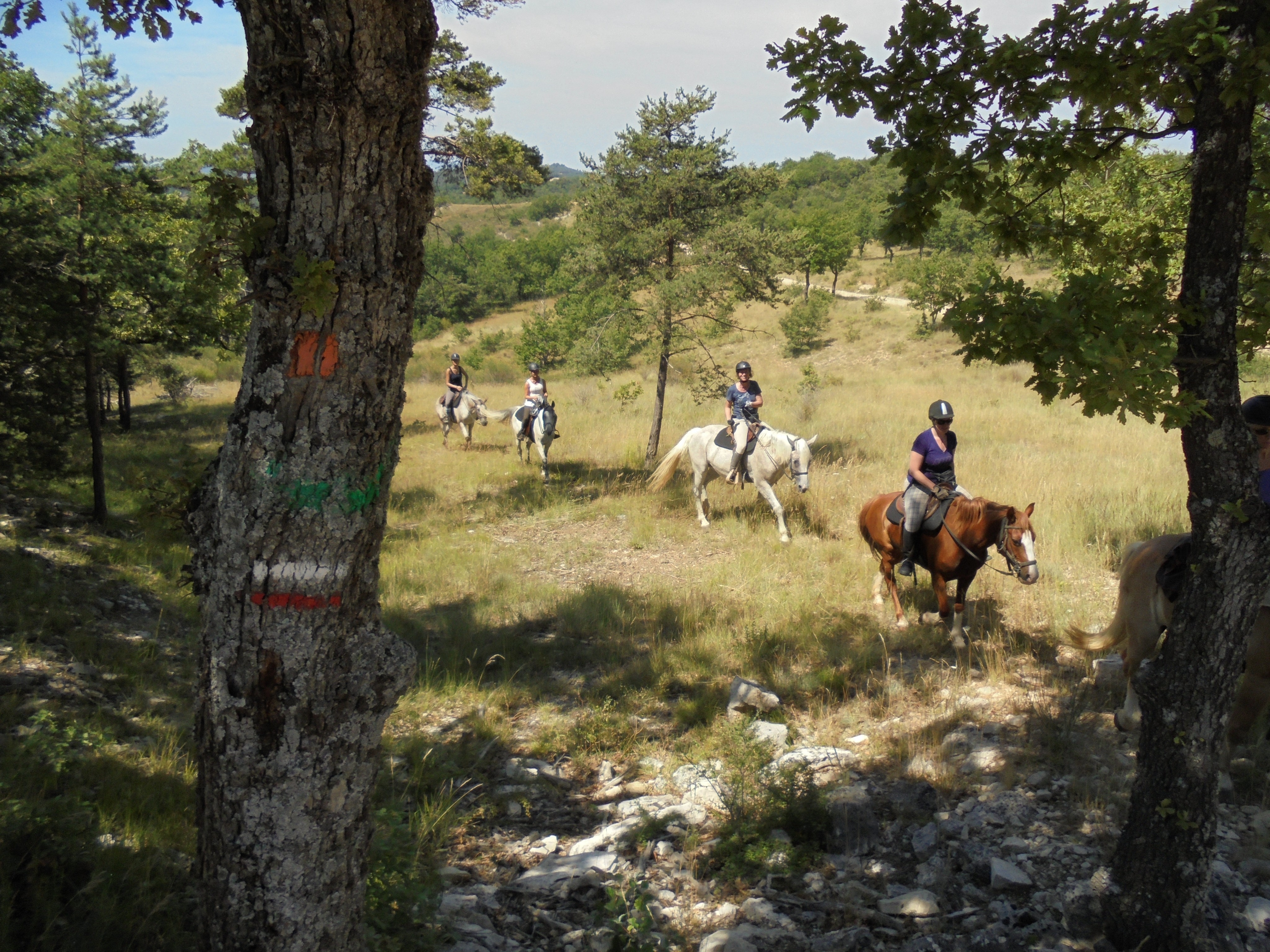 Voyage à cheval - Quatre jours en rando à cheval dans le Petit Luberon itinérants