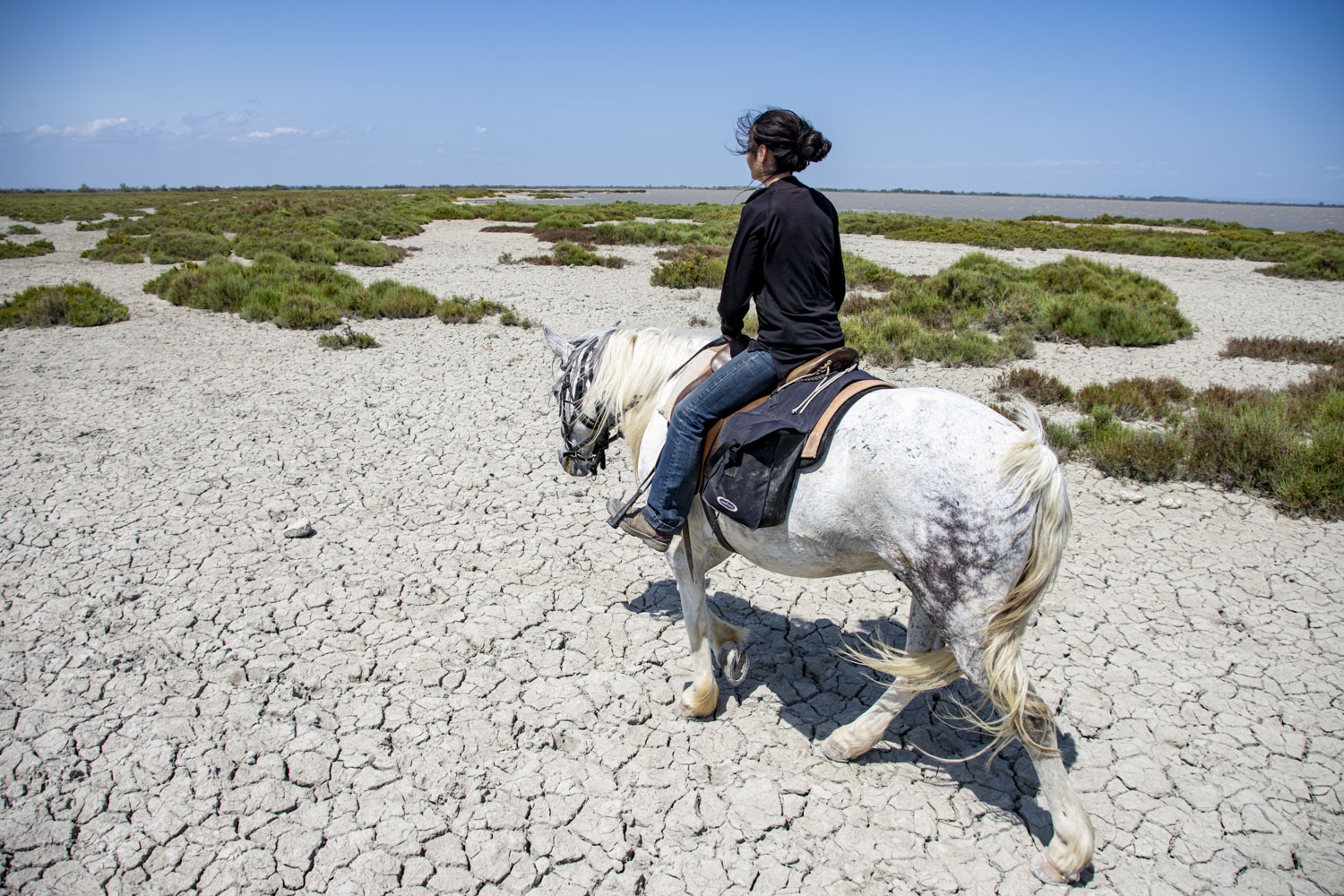 Voyage à cheval - Découverte de la Camargue à cheval - Week ends 1 et 8 mai
