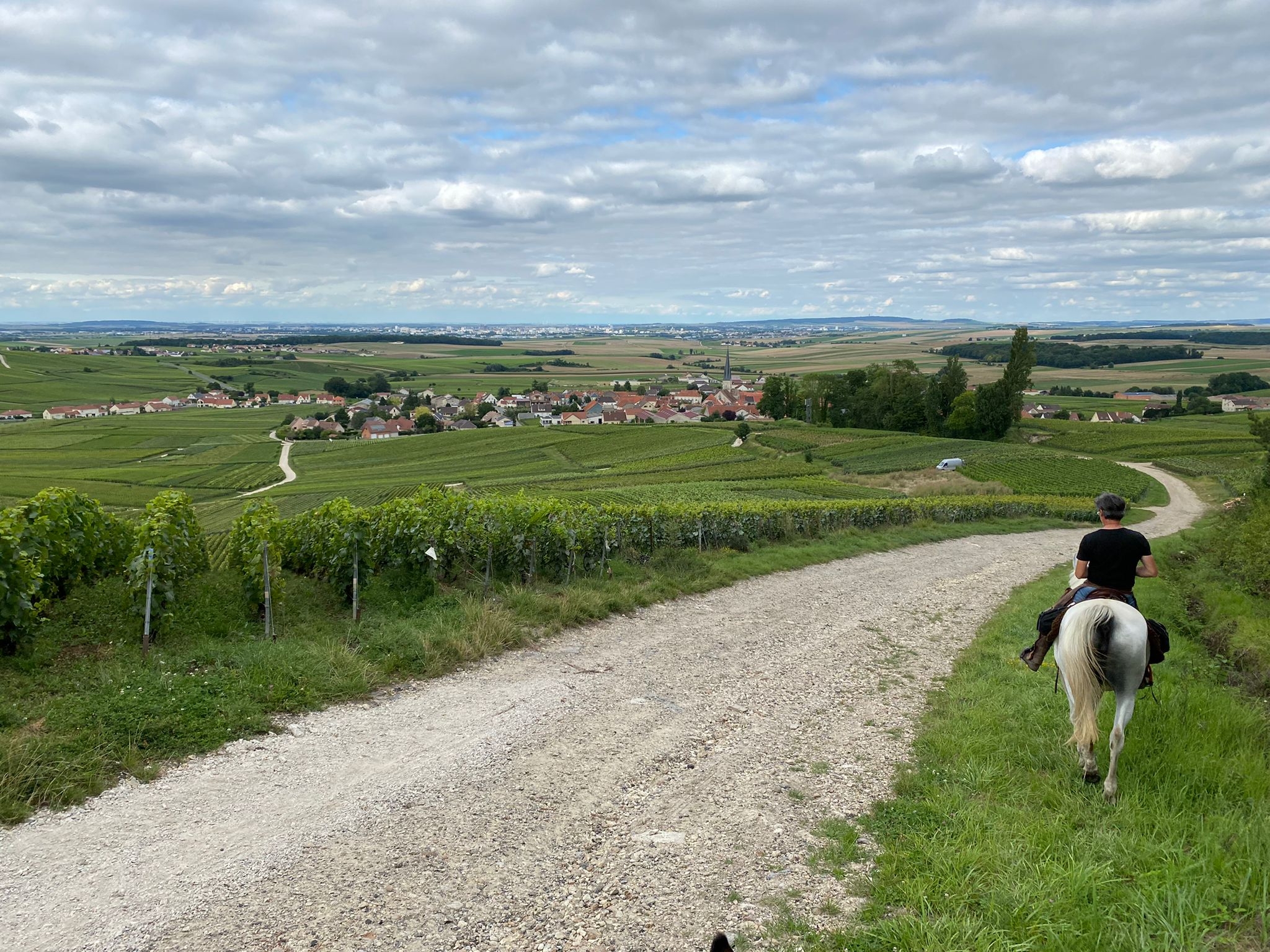 Voyage à cheval - Chevauchée pétillante dans les vignobles de Champagne