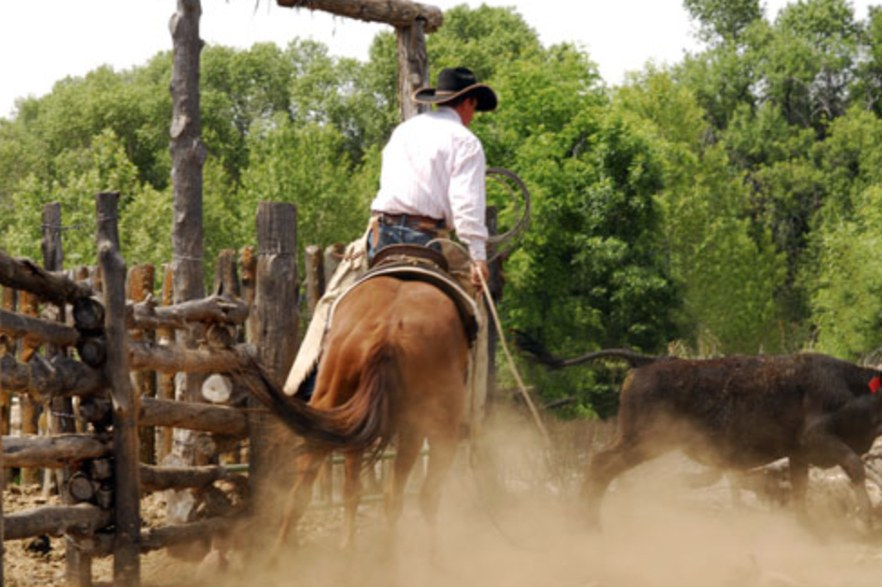 Voyage à cheval - Usa : Séjour dans un ranch et multi activités dans Pleasant Valley en Arizona