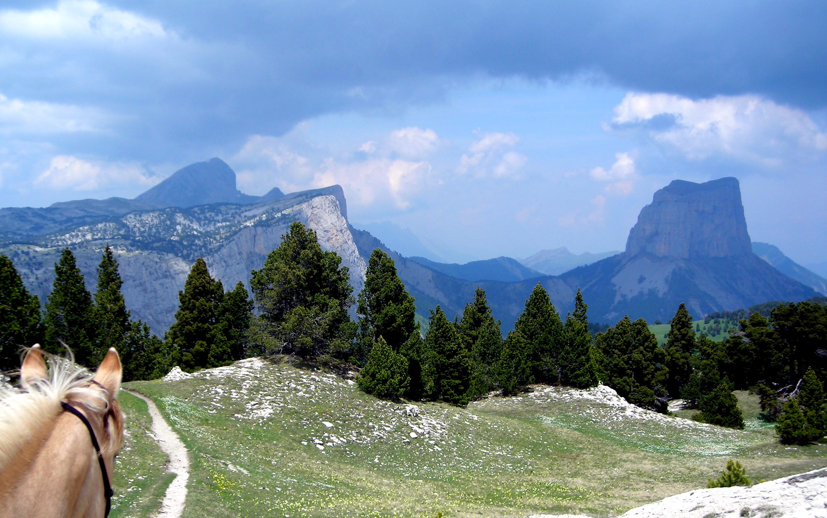 Voyage à cheval - Alpages et hauts plateaux du Vercors à cheval