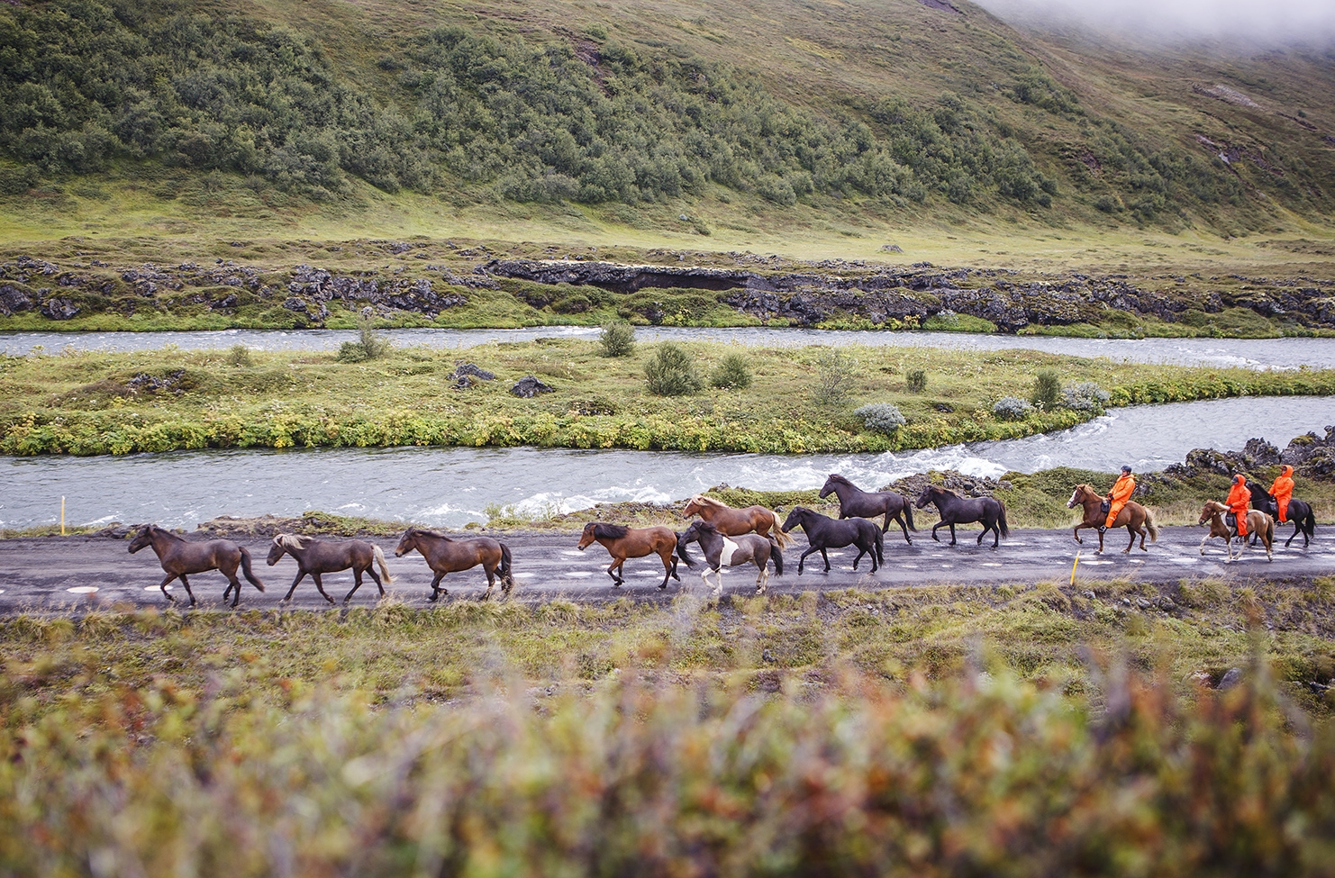 Voyage à cheval - Le nord de l\'Islande en rando à cheval