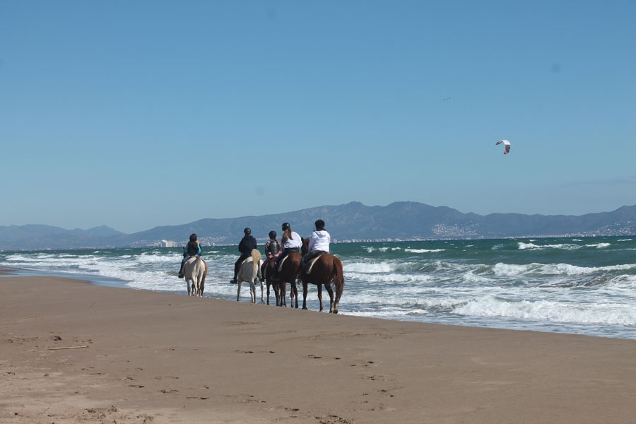 Voyage à cheval - Espagne : Plages et prairies de la Costa Brava à cheval