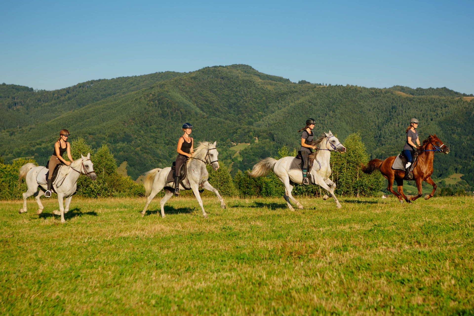 Voyage à cheval - Roumanie : Voyage à cheval en Transylvanie