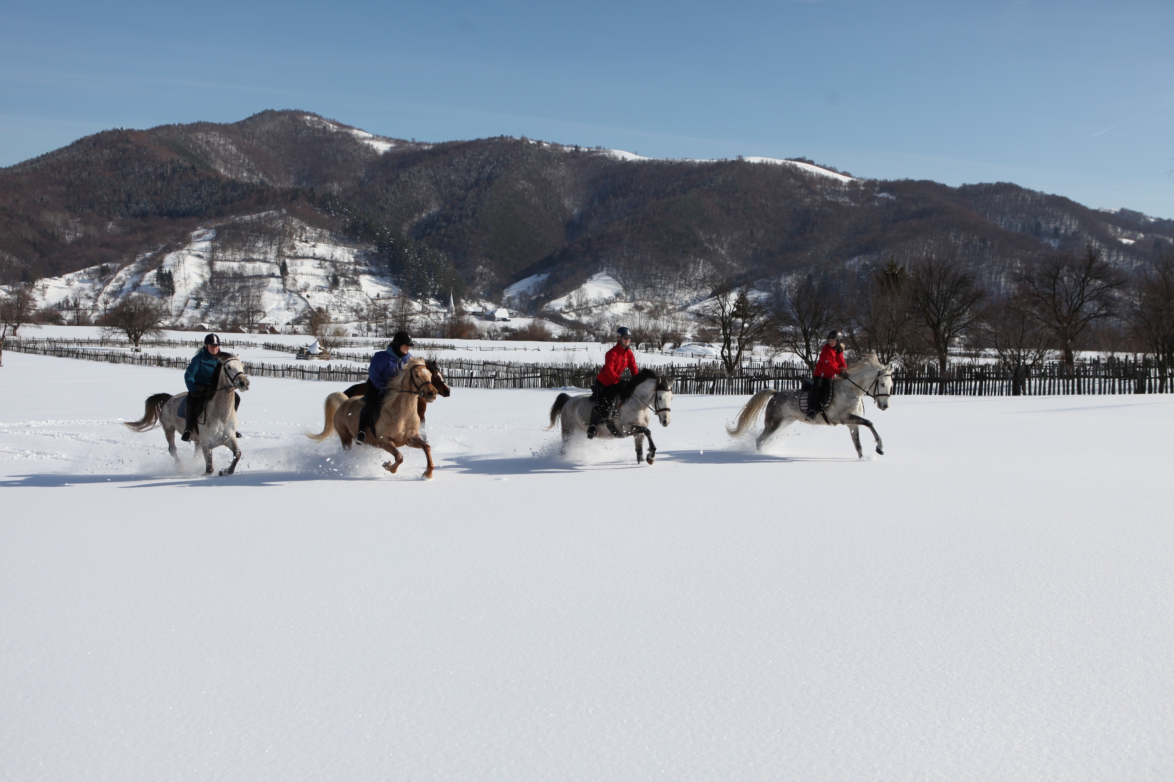 Voyage à cheval - Roumanie : Randonnée hivernale dans les Carpates