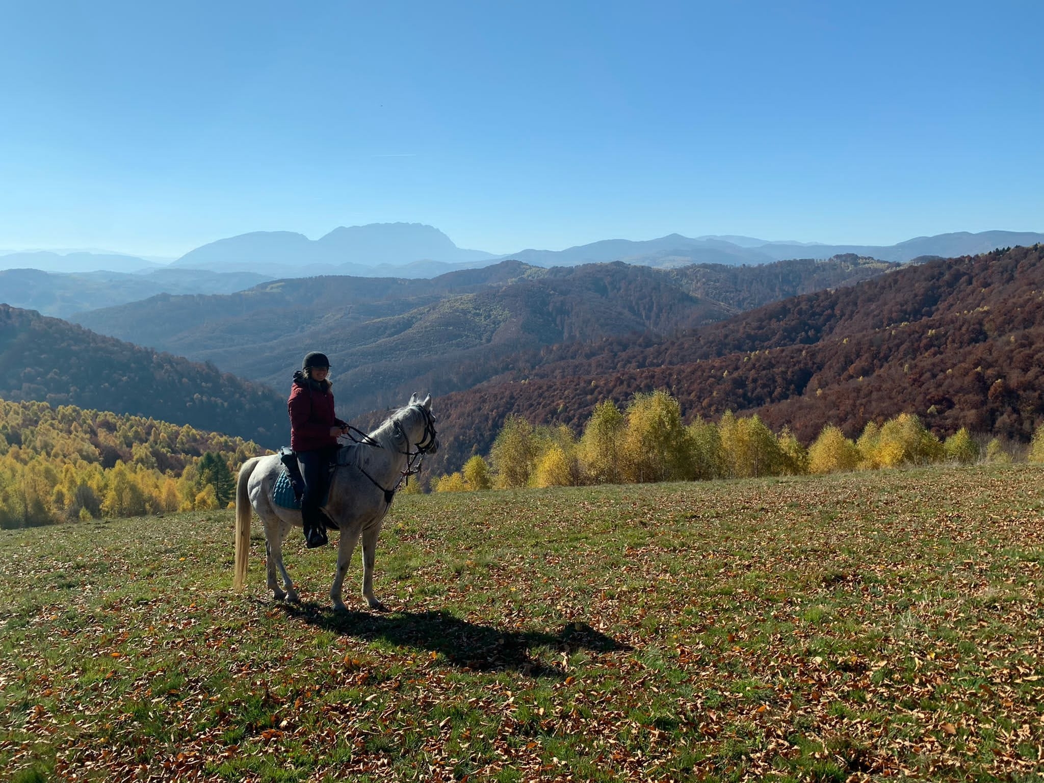 Voyage à cheval - Roumanie : Forêts et ours des Carpates