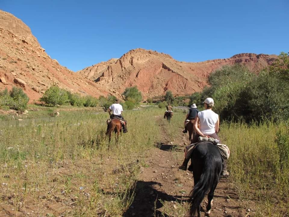 Voyage à cheval - La Vallée des Roses