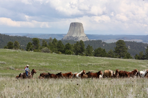 Voyage à cheval - Usa : Séjour en ranch et travail du bétail à cheval dans le Wyoming