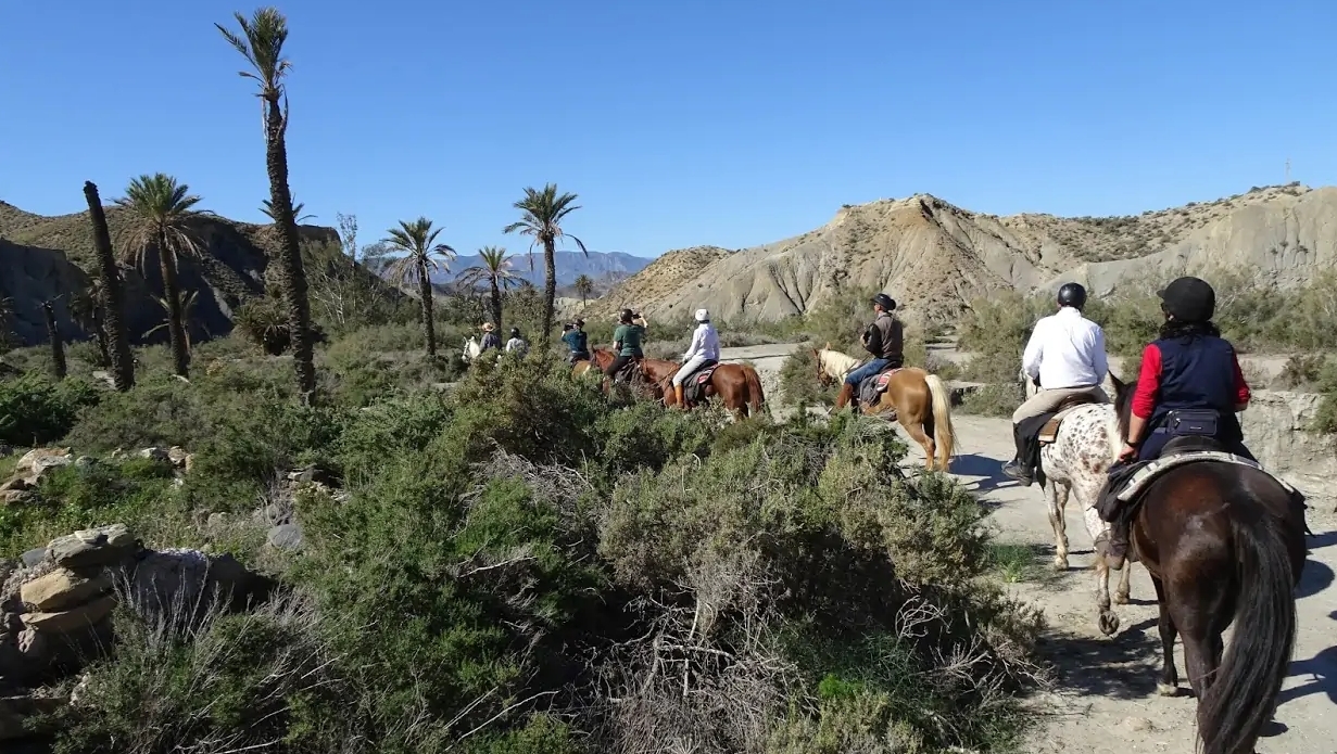 Voyage à cheval - Andalousie : Des plages du Cabo de Gata au désert de Tabernas à cheval